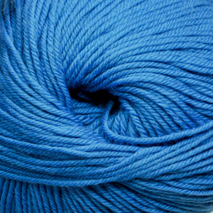 848-blueberry